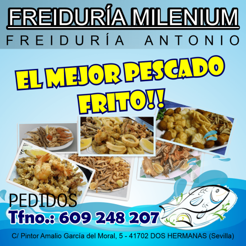 BANNER FREIDURIA MILENIUM