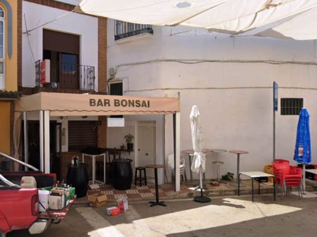 Bar Bonsai