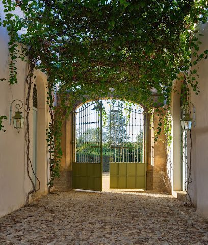 Bodegas Góngora