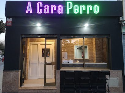 A Cara Perro